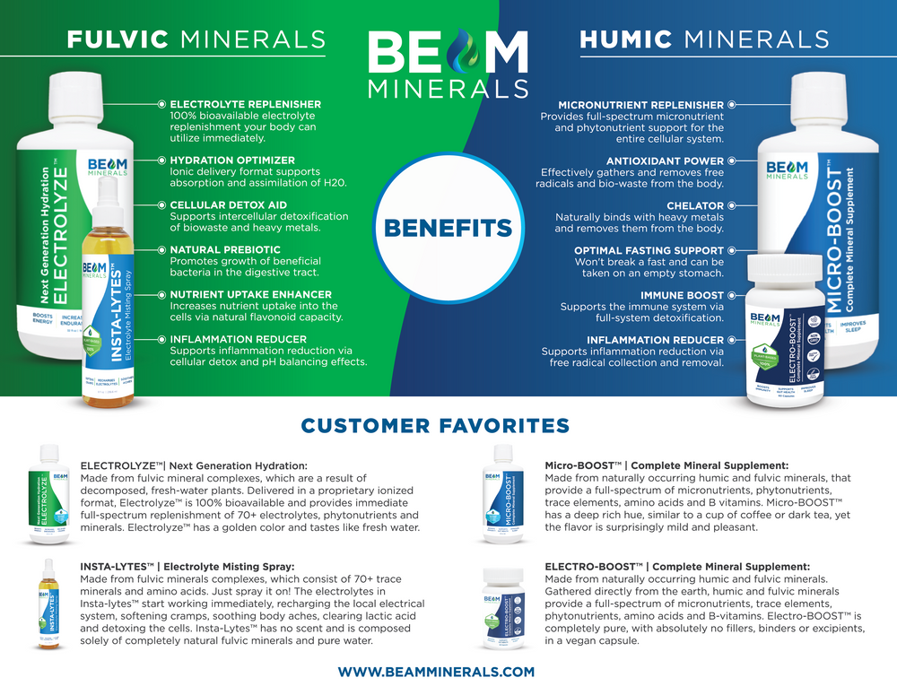 BEAM Minerals Flyers