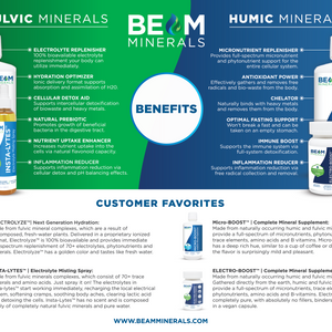 BEAM Minerals Flyers